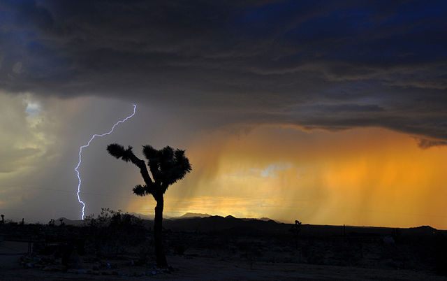 Lightning bolt over nighttime desert scene